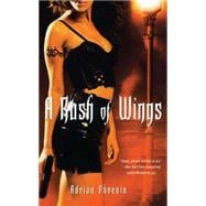 A Rush of Wings Book One of The Maker's Song