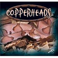 Copperheads