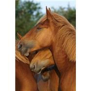 Suffolk Punch Yearlings Journal
