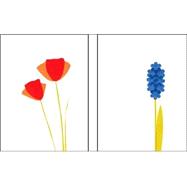 Chronicle Notes: Poppies and Hyacinths 12 Notecards and Envelopes