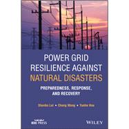 Power Grid Resilience against Natural Disasters Preparedness, Response, and Recovery