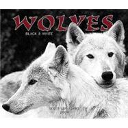 Wolves Black & White 2004 Calendar