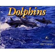 Dolphins 2007 Calendar