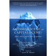 Anthropocene or Capitalocene? Nature, History, and the Crisis of Capitalism