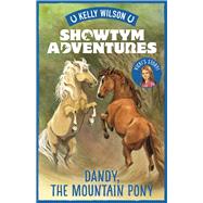 Dandy, the Mountain Pony