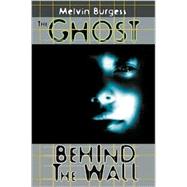 The Ghost Behind the Wall