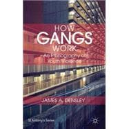 How Gangs Work An Ethnography of Youth Violence