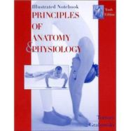 Principles of Anatomy and Physiology, Illustrated Notebook, 10th Edition