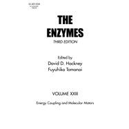 Energy Coupling and Molecular Motors: The Enzymes