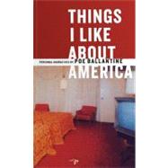 Things I Like About America Personal Narratives