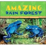 Amazing Rain Forest: Rain Forests Today