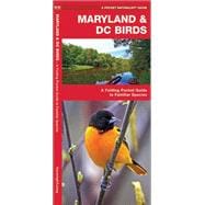 Maryland & DC Birds A Folding Pocket Guide to Familiar Species