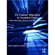EU Labour Migration in Troubled Times: Skills Mismatch, Return and Policy Responses