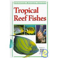 Tropical Reef Fishes