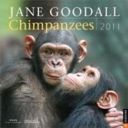 Jane Goodall Chimpanzees; 2011 Wall Calendar