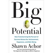 Big Potential How Transforming the Pursuit of Success Raises Our Achievement, Happiness, and Well-Being
