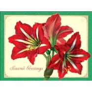 V&A Amaryllis Boxed Draw Holiday Notecards