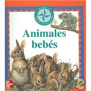 Animales Bebes / Baby Animals