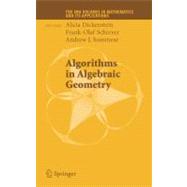 Algorithms in Algebraic Geometry