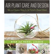 Air Plant Care and Design