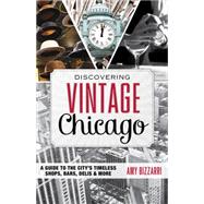 Discovering Vintage Chicago A Guide to the City’s Timeless Shops, Bars, Delis & More