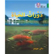 Collins Big Cat Arabic – Life Cycles Level 15