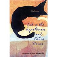 Cat in the Agraharam and Other Stories