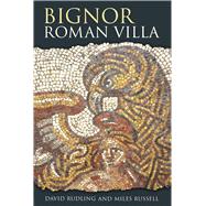 Bignor Roman Villa