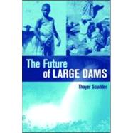 The Future Of Large Dams