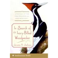 In Search of the Ivory-billed Woodpecker