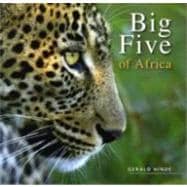 Big Five of Africa