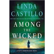 Among the Wicked A Kate Burkholder Novel