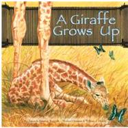 A Giraffe Grows Up