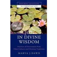 Joy in Divine Wisdom : Practices of Discernment from Other Cultures and Christian Traditions