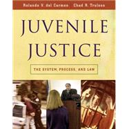 Juvenile Justice The System, Process and Law,9780534521585