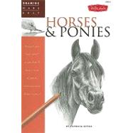 Horses & Ponies Discover your 