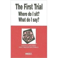 The First Trial Where Do I Sit? What Do I Say? in a Nutshell