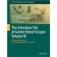 The Acheulian Site of Gesher Benot  Ya‘aqov  Volume III