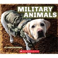 Military Animals With Dog Tags