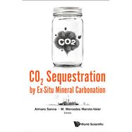 Co2 Sequestration by Ex-Situ Mineral Carbonation