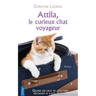 Attila, le curieux chat voyageur