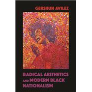 Radical Aesthetics and Modern Black Nationalism