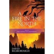 A Fire in the North