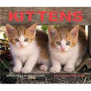 Kittens 2004 Calendar