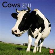 Cows 2011 Calendar