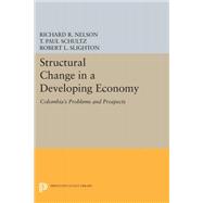 Structural Change in a Developing Economy