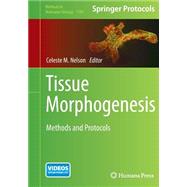 Tissue Morphogenesis