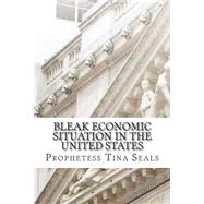 Bleak Economic Situation in the United States