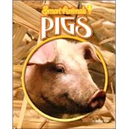 Pigs