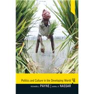 Politics and Culture in the Developing World